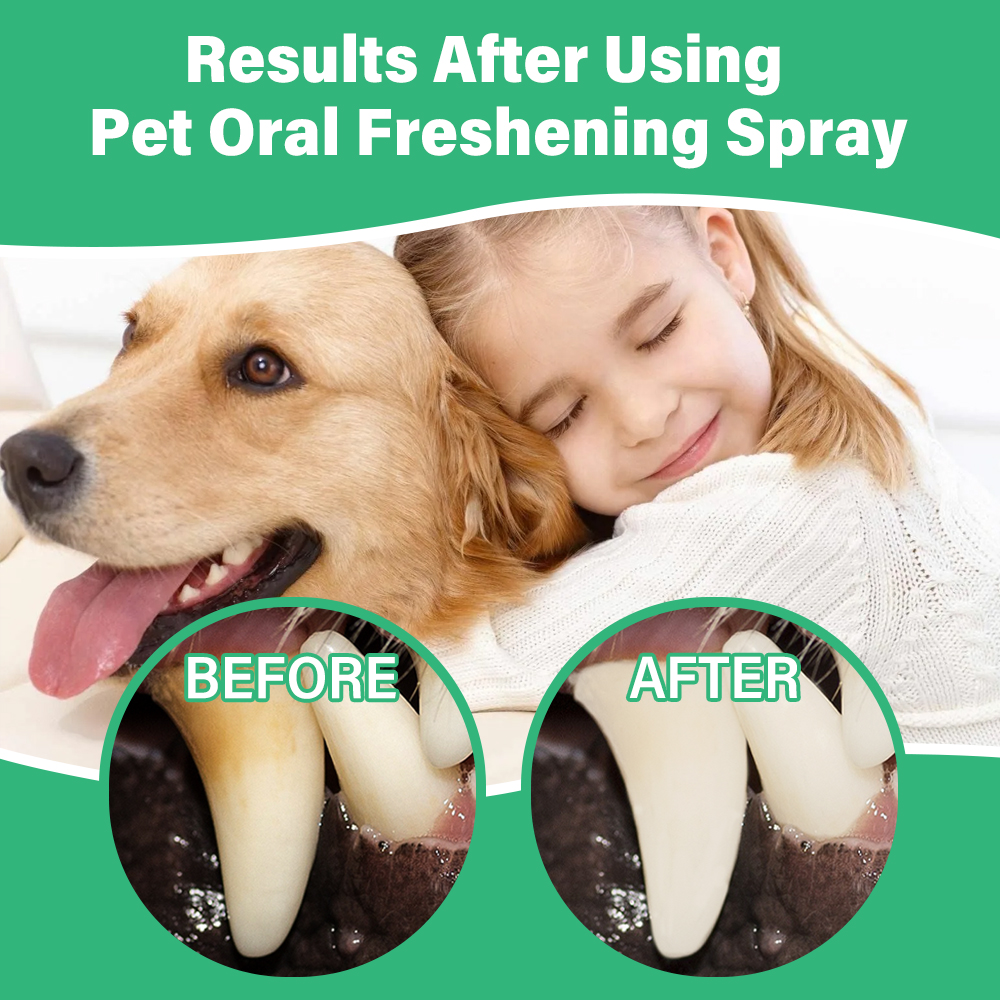 Ulroyda Pet Oral Freshening Sp - Teeth Whitening Cream incelemesi ve fiyatı