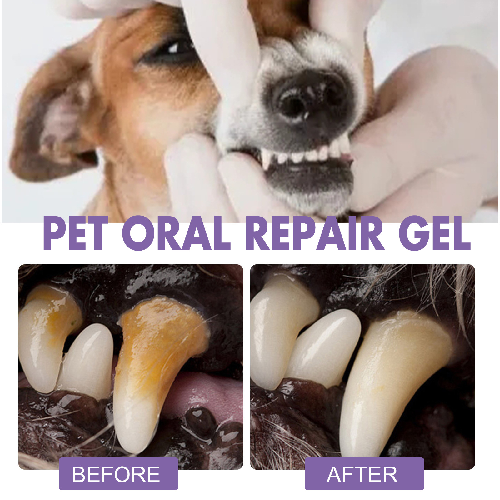 Pet Oral Repair Gel Puppy Tart - Whitening Mouthwash incelemesi ve fiyatı