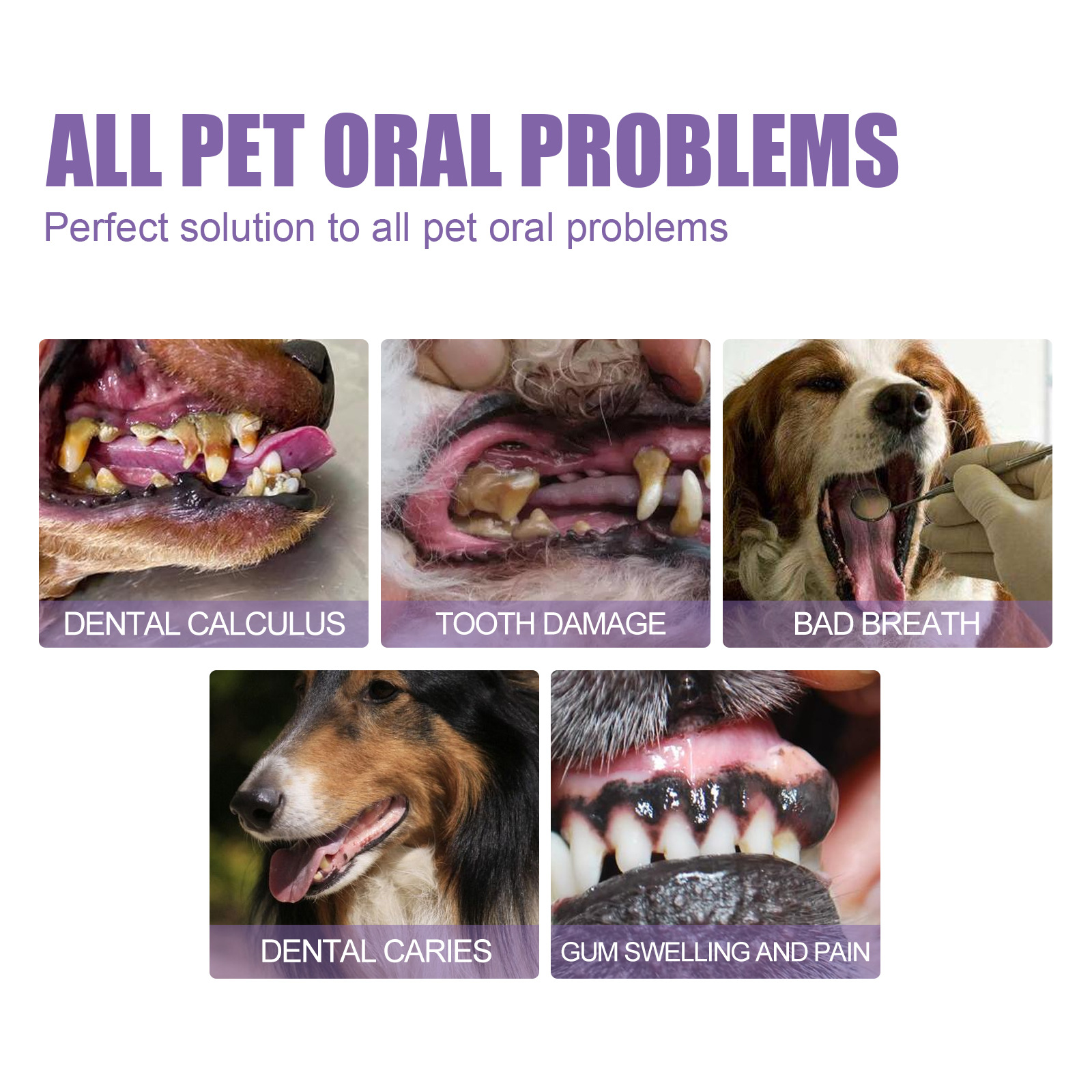 Pet Oral Repair Gel Puppy Tart - Whitening Mouthwash incelemesi ve fiyatı