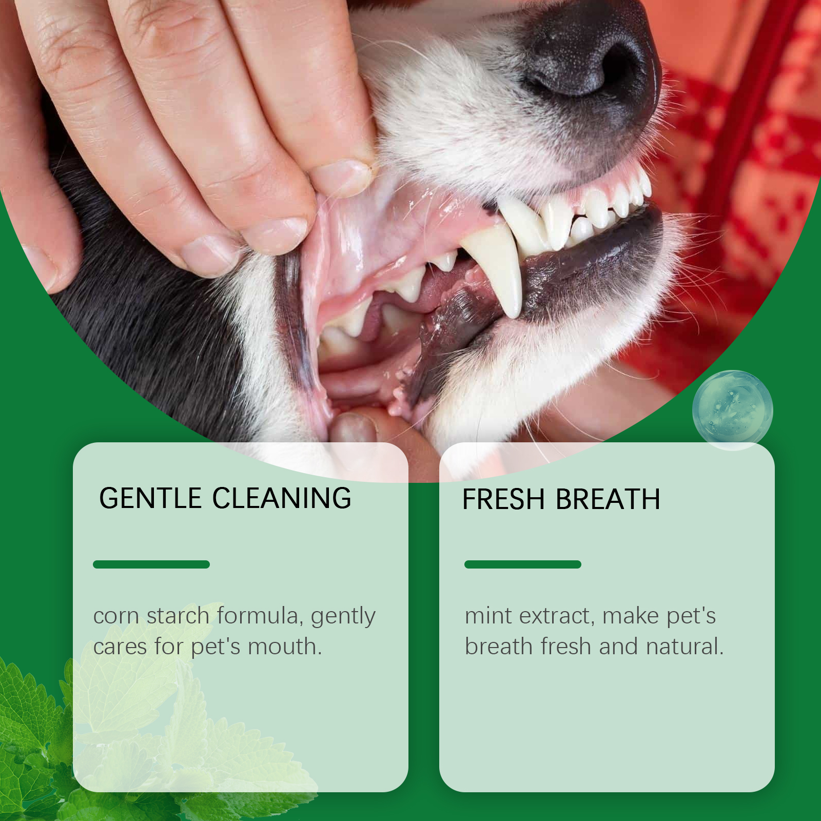 Pet Teeth Cleaning Powder Redu - Teeth Whitening Street incelemesi ve fiyatı