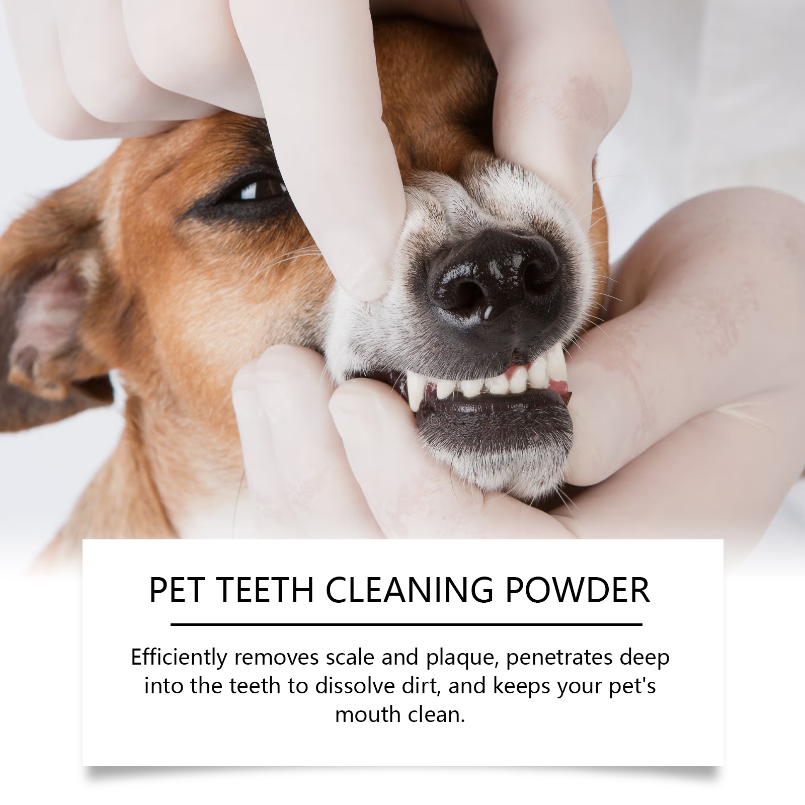 Pet Teeth Cleaning Powder Redu - Teeth Whitening Street incelemesi ve fiyatı