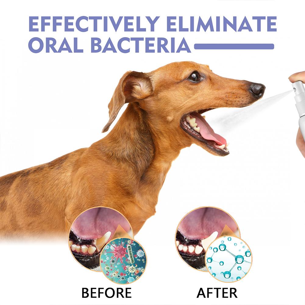 Pet Oral Cleaning Spray Mouth  - Whitening Mouthwash incelemesi ve fiyatı