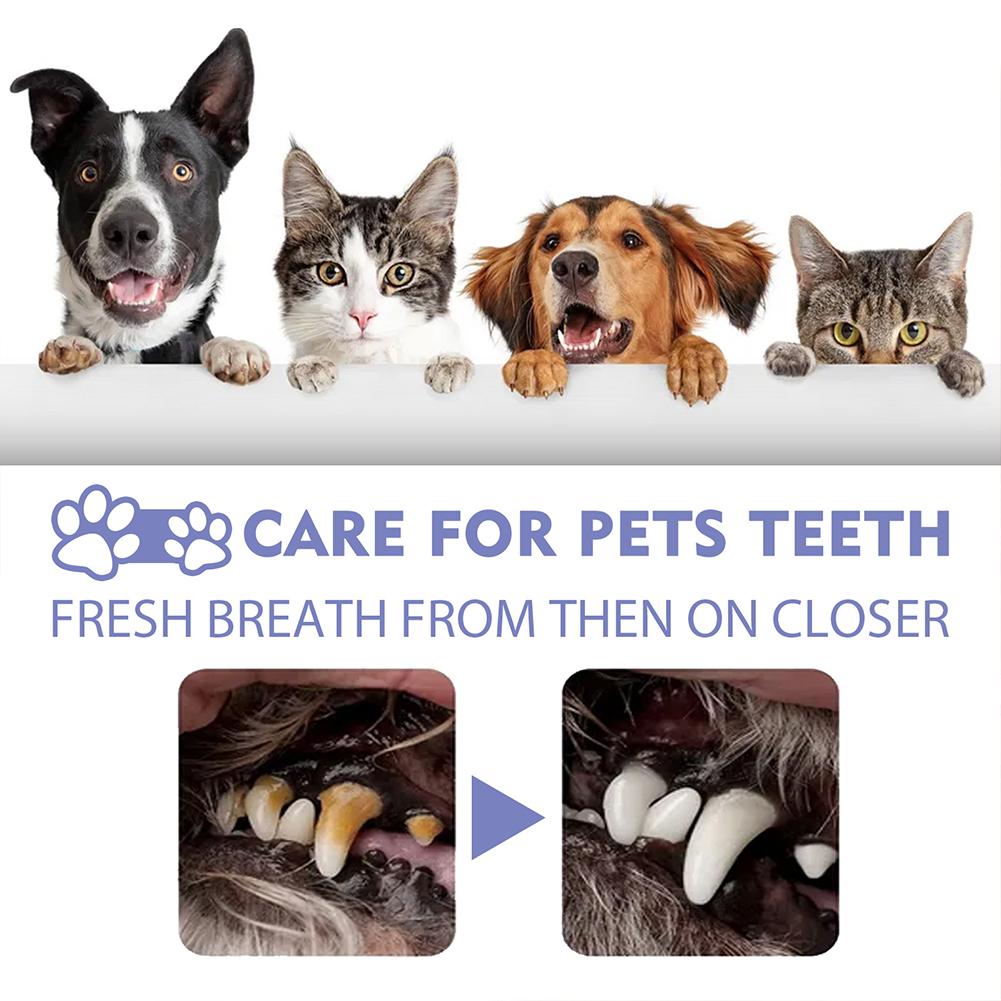 Pet Oral Cleaning Spray Mouth  - Whitening Mouthwash incelemesi ve fiyatı